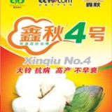 棉花种子鑫秋4号高产抗病棉花良种农作物种子经济作物种子