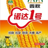 玉米种子鑫秋诺达1号高产抗倒伏玉米良种农作物粮食作物种子
