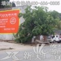 扬州墙体广告--扬州农村户外墙体广告、户外墙标广告