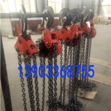 5吨环链电动葫芦价格-同步群吊电动葫芦生产厂家