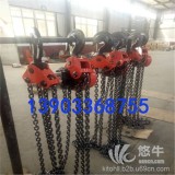 求购10吨DHP焊罐电动葫芦-建筑群吊电动葫芦厂家生产