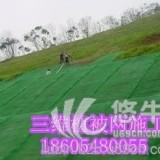 植草护坡专用EM3三维植被网垫