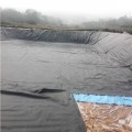 济源养殖场沼液池HDPE防渗膜