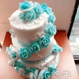 长沙翻糖蛋糕韩式裱花培训学习选音画蛋糕培训