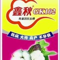 棉花种子鑫秋GK102高产抗病农作物新品种