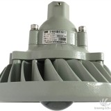BAX1501D系列固态免维护防爆防腐灯LED30W40W50W