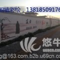 上海云绘艺术墙体广告