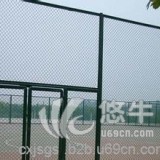 乒乓球场包塑围栏_网球场包塑围栏【超翔】