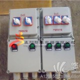 BXM(D)69系列防爆照明(动力)配电箱(ⅡB、IIC