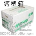 深圳市诺众钙塑箱包装制品有限公司