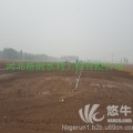 河北沧州献县小麦、玉米蔬菜水肥一体化田间工程项目