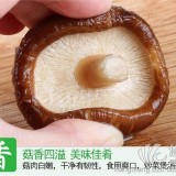 兴利干香菇菇肉厚实剪根味香南北干货年货首选农家自产