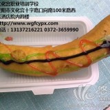 内黄脆皮香蕉培训班专业小吃技术培训王广峰
