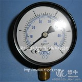 台湾雅德5kg直立式压力表、10kg煤气压力表、15kg气压表
