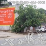 贵州六盘水民墙广告
