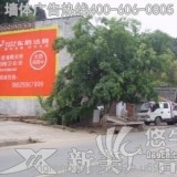 贵州铜仁墙壁广告