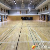 室内体育运动木地板