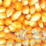 玉米豆粕棉粕麸皮次粉高粱油糠等饲料原料