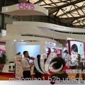 2017上海国际美容化妆品及其美容仪器展