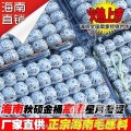 海南秋碩星月菩提108+6顆真空包裝素珠