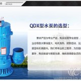 扬州佳欣QDX潜水泵