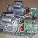 WCB微型手提式齿轮油泵图片与价格