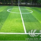 天津足球场人造草坪