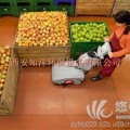青海超市自动洗地机