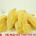 成都鱼胶-花胶-鱼肚-鱼鳔-花胶红枣炖鸡-不二之选的鱼胶