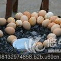 烤鸭蛋鸡蛋