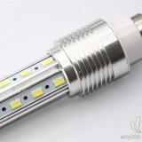 6W-YMD-2cornlight
