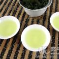 兰香型绿色茶铁观音