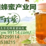 中国蜂蜜产业网