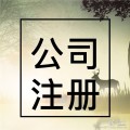 一般納稅人公司轉(zhuǎn)讓豐