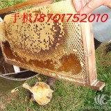 蜂蜜的正确吃法