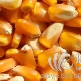 玉米小麦大米