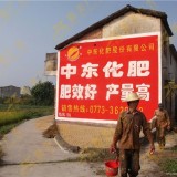 安徽农村民墙广告