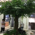 郑州仿真古树造型树