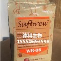 酵母Safbrew