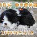 车载仿真猫仿真狗