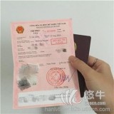 2019越南工作签证