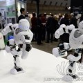 2019机器人展览会