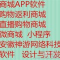 APP开发