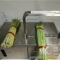 蔬菜捆轧机束带机