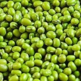 全国最低价批发进口绿豆