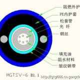 上海供应MGTSV阻燃光缆现货