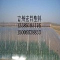 山东灌浆膜-河北灌浆膜-内蒙古灌浆膜-青州宏昌塑料