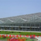 青州鑫钰建设智能温室，蔬菜大棚的