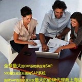 SAP银行业ERP系统