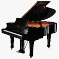 安徽星海钢琴|合肥星海钢琴价格【低价供应】金牌推荐